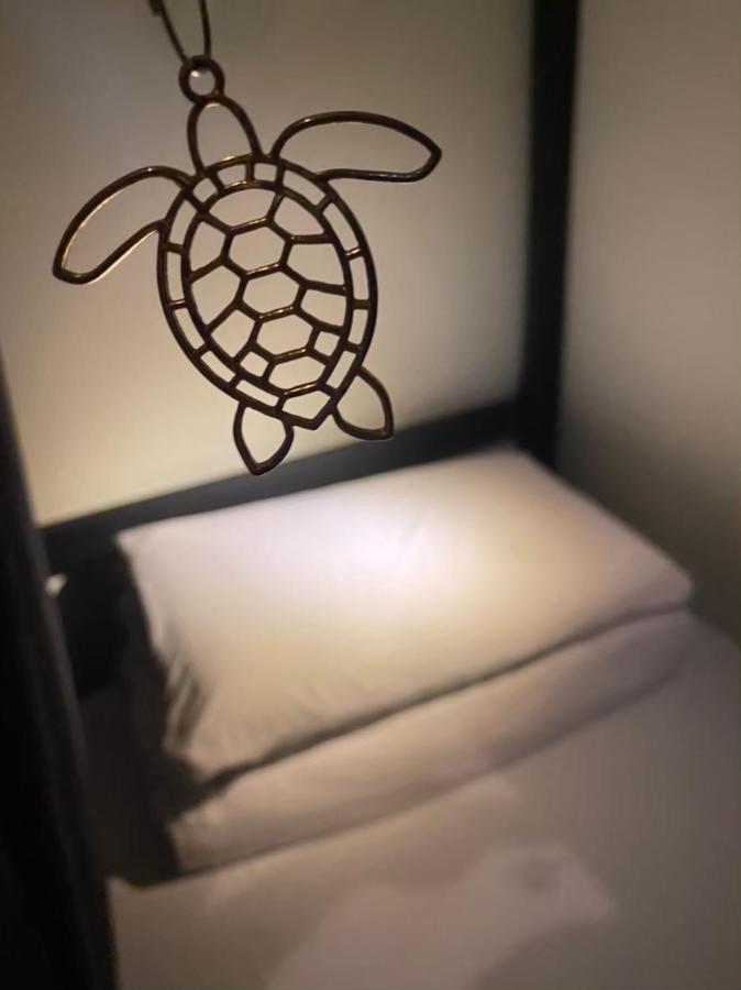 琉浪潛水背包客棧 Drift Diving Hostel 小琉球 エクステリア 写真